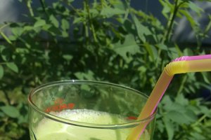 Detoxifiant de patrunjel