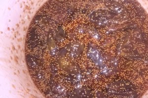 Dulceata de smochine