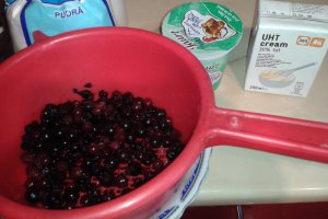 Rulada cu model si crema de iaurt cu fructe de padure