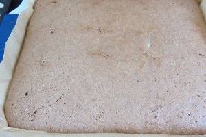 Prajitura cu branza si cacao