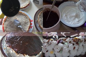 Tort Anca