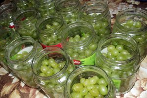 Compot de struguri albi