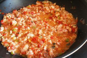 Lasagna cu pui
