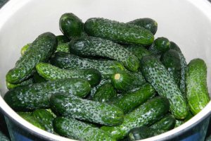 Castraveti murati in saramura (reteta Motan)