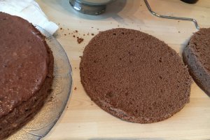 Tort Marin