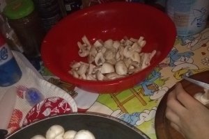 Tocanita de ciuperci cu pui