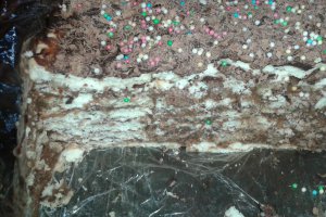 Tort de biscuiti, cu crema de ciocolata cu rom si alune, si insertie de banane