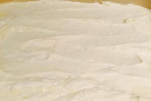 Prajitura cu branza dulce si stafide