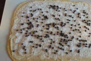 Cuiburi de viespi cu cocos si ciocolata