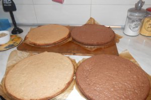 Tort ''48''