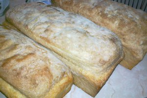 Paine de casa