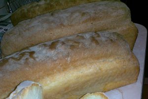 Paine de casa