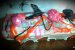 Chec "quatre-quarts" pentru Halloween-4
