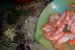 Ceviche sau Creveti marinati-0