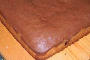Prajitura din albusuri cu cacao si stafide