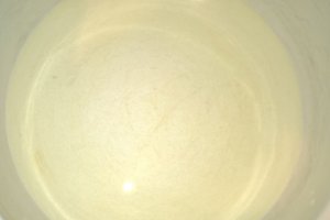 Trandafiri din foietaj si mere