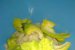 Floricele umplute cu pasta de avocado si conopida-5