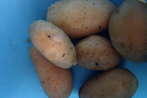 Strudel  cu cartofi si ciuperci