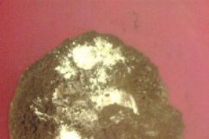 Biscuiti de post cu dulceata si rodii