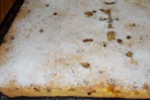 Rasturnata cu prune si nectarine