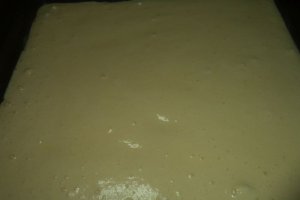 Pandispan cu budinca de vanilie si fructe