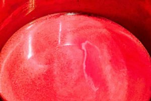 Sarlota de vanilie si sirop de rodie