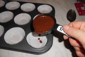 Briose Caciula lui Mos Craciun
