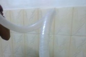 Carnati de casa