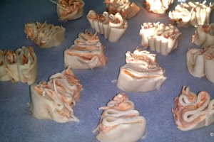 Foietaj in forma de bradut