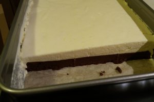 Prajitura cu blat de ciocolata si mousse de vanilie