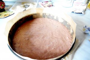 Tort 23