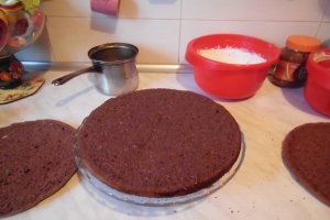 Tort 23