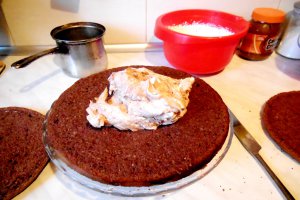 Tort 23