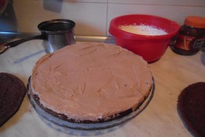 Tort 23