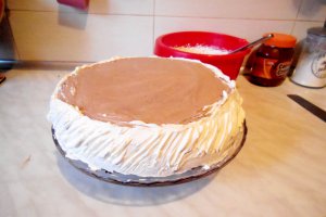 Tort 23