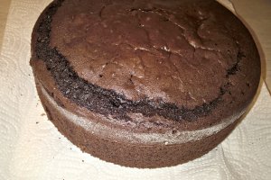 Tort 26