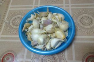 Piftie curcan