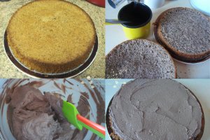 Tort Vasile