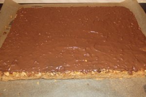 Deliciu cu nuca si visine
