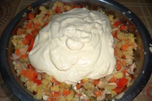 Tort din salata de boeuf light