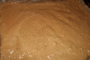 Prajitura cu blaturi de ciocolata si crema de nes