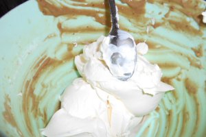 Prajitura cu blaturi de ciocolata si crema de nes