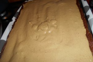 Prajitura cu blaturi de ciocolata si crema de nes