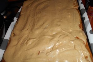 Prajitura cu blaturi de ciocolata si crema de nes