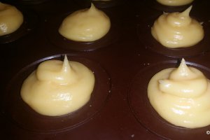 Mini-choux cu crema de vanilie pralinata