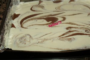 Prajitura cu branza si ciocolata