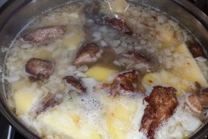 Tocanita cu carne la garnita