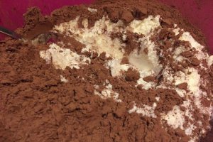 Ciocolata de casa cu biscuiti