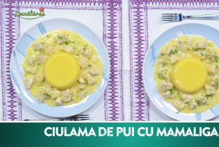 Ciulama de pui cu mamaliga