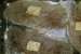 File de pangasius la cuptor cu garnitura de legume-1